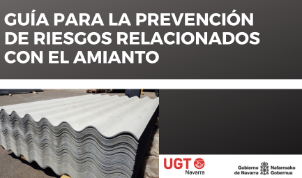 Guía para la prevención de riesgos relacionados con el amianto